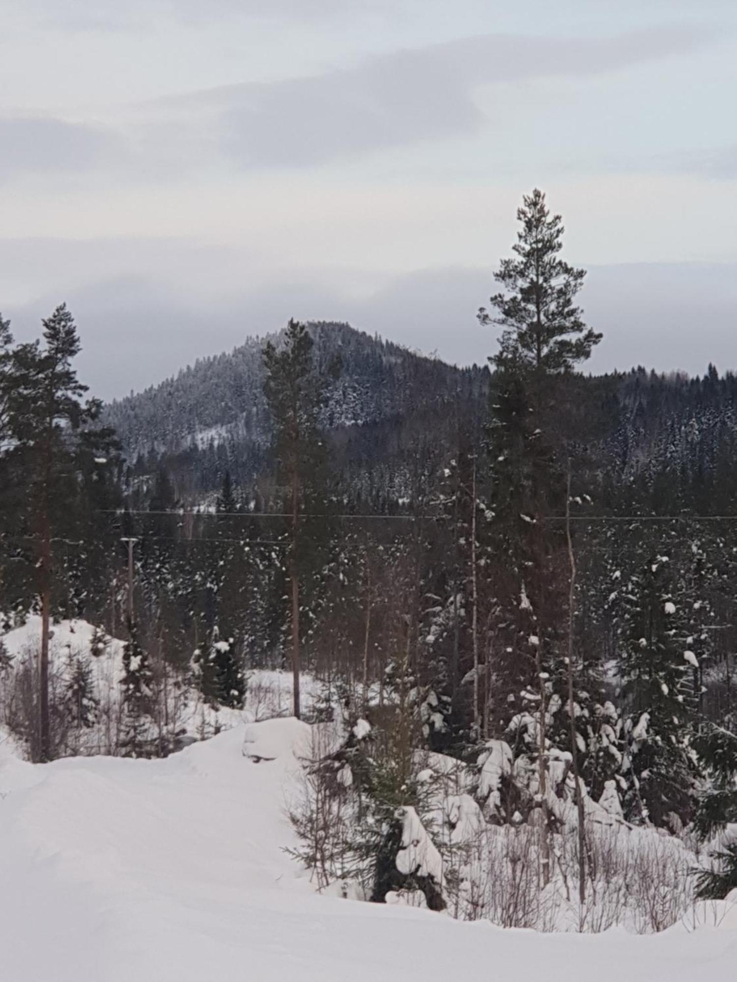 Tyforsgarden Apartman Mjolnartorpet Kültér fotó
