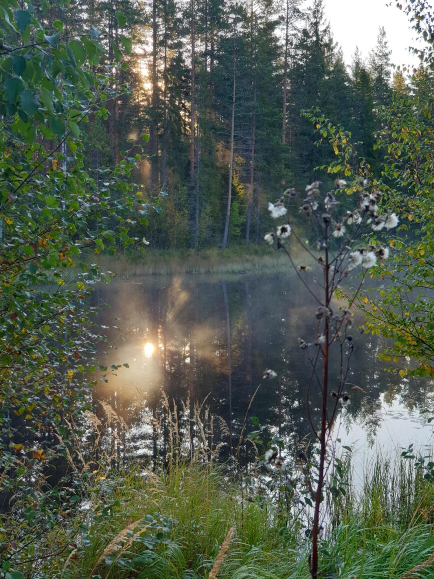 Tyforsgarden Apartman Mjolnartorpet Kültér fotó